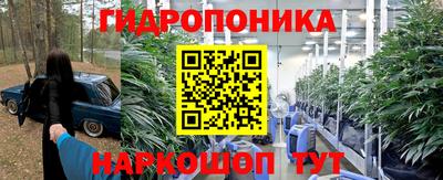 дмт Надым