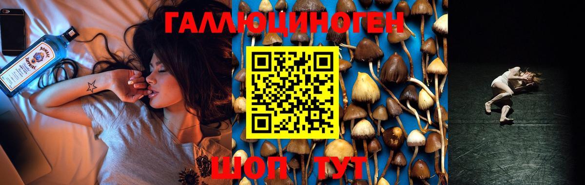 Галлюциногенные грибы мицелий  Галлюциногенные грибы Psilocybe  Гуково  Вход с VPN 